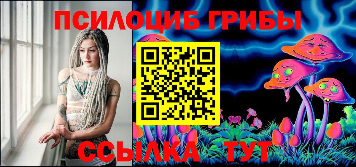 Галлюциногенные грибы Psilocybine cubensis Волхов