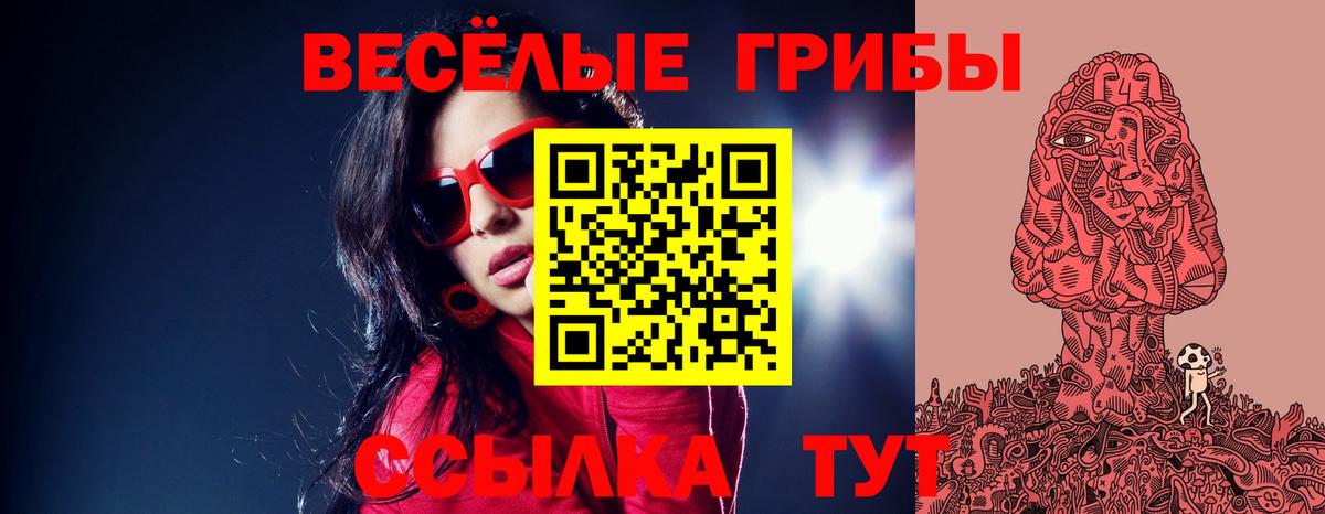 наркотики  Галлюциногенные грибы Magic Shrooms  Вход с VPN  Псилоцибиновые грибы ЛСД  Волхов 