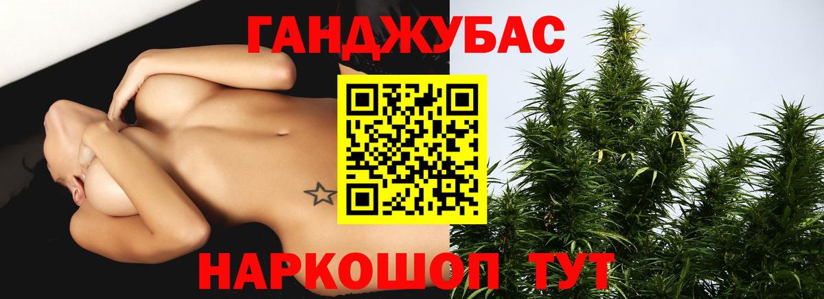 Бошки Шишки планчик  Вход с VPN  Волхов  Бошки Шишки план  Каннабис Amnesia  Шишки марихуана AK-47 